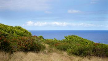 994 N Honokala Rd  , Hi vacant land for sale - photo 3 of 20