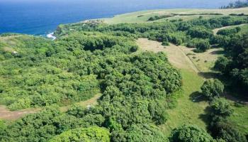 994 N Honokala Rd  , Hi vacant land for sale - photo 4 of 20