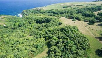 994 N Honokala Rd , Hi vacant land for sale - photo 5 of 20 994 N Honokala Rd , Hi vacant land for sale - photo 5 of 20