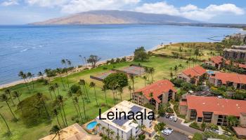 Leinaala condo # 101, Kihei, Hawaii - photo 1 of 22