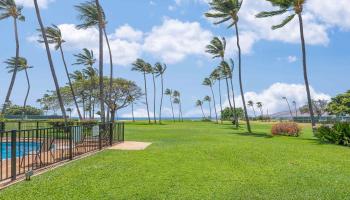 Leinaala condo # 101, Kihei, Hawaii - photo 6 of 22