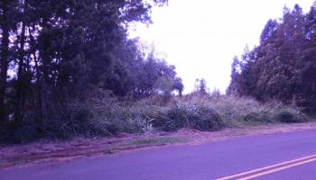 Ainakula Rd  Kula, Hi vacant land for sale - photo 3 of 3