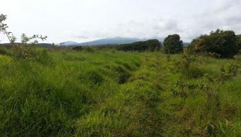 0 Awalau Rd Lot 5 , Hi vacant land for sale - photo 3 of 4 0 Awalau Rd Lot 5 , Hi vacant land for sale - photo 3 of 4