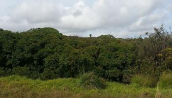 0 Awalau Rd Lot 5 , Hi vacant land for sale - photo 4 of 4