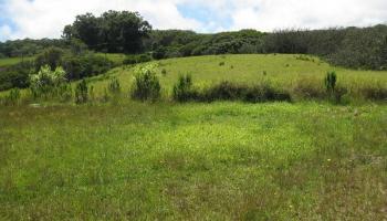 0 Awalau Rd  , Hi vacant land for sale - photo 3 of 19