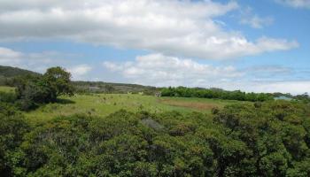 0 Awalau Rd  , Hi vacant land for sale - photo 4 of 19