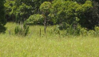 0 Awalau Rd , Hi vacant land for sale - photo 6 of 19