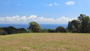 0 Burns Rd Lot 10 , Hi vacant land for sale - photo 5 of 14 0 Burns Rd Lot 10 , Hi vacant land for sale - photo 5 of 14