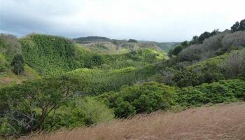 0 Burns Rd Por of , Hi vacant land for sale - photo 3 of 18 0 Burns Rd Por of , Hi vacant land for sale - photo 3 of 18
