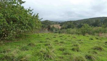 0 Burns Rd Por of , Hi vacant land for sale - photo 4 of 18 0 Burns Rd Por of , Hi vacant land for sale - photo 4 of 18