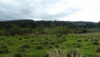 0 Burns Rd Por of , Hi vacant land for sale - photo 5 of 18 0 Burns Rd Por of , Hi vacant land for sale - photo 5 of 18