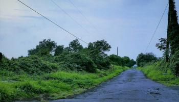 0 Calasa Rd Kula, Hi vacant land for sale - photo 3 of 10 0 Calasa Rd Kula, Hi vacant land for sale - photo 3 of 10