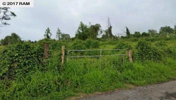 0 Calasa Rd Kula, Hi vacant land for sale - photo 5 of 10 0 Calasa Rd Kula, Hi vacant land for sale - photo 5 of 10