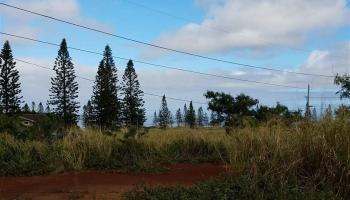 D17 Mahiki Pl  Maunaloa, Hi vacant land for sale - photo 5 of 6