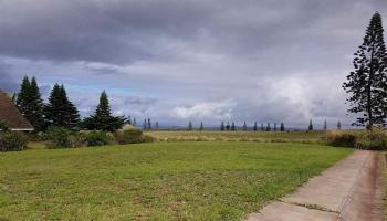 D-97 Ka'ana St  Maunaloa, Hi vacant land for sale - photo 1 of 7