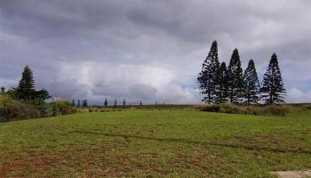 D-97 Ka'ana St  Maunaloa, Hi vacant land for sale - photo 4 of 7
