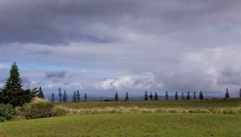 D-97 Ka'ana St  Maunaloa, Hi vacant land for sale - photo 5 of 7