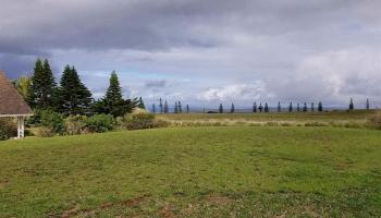 D-97 Ka'ana St  Maunaloa, Hi vacant land for sale - photo 6 of 7