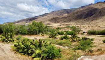 Ehehene St 3 Lahaina, Hi vacant land for sale - photo 2 of 13