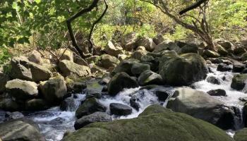 0 Halawa Pl  Kaunakakai, Hi vacant land for sale - photo 4 of 5