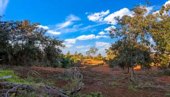 0 Haleakala Hwy   - photo 2 of 9