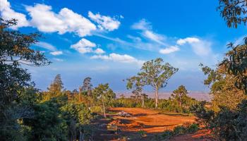 0 Haleakala Hwy   - photo 3 of 9