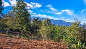 0 Haleakala Hwy   - photo 4 of 9