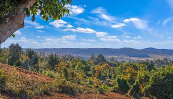 0 Haleakala Hwy   - photo 6 of 9