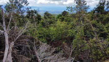 Haleakala Hwy Lot 32-B Kula, Hi vacant land for sale - photo 4 of 7