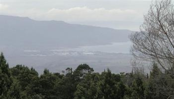 0 Haleakala Hwy Lot 37 Kula, Hi vacant land for sale - photo 4 of 5