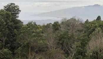0 Haleakala Hwy Lot 37 Kula, Hi vacant land for sale - photo 5 of 5