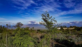 0 Haleakala Hwy   - photo 3 of 12