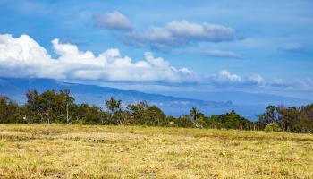 0 Haliimaile Rd  Makawao, Hi vacant land for sale - photo 1 of 8