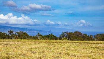 0 Haliimaile Rd  Makawao, Hi vacant land for sale - photo 1 of 8