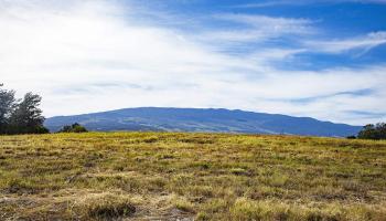 0 Haliimaile Rd  Makawao, Hi vacant land for sale - photo 3 of 8