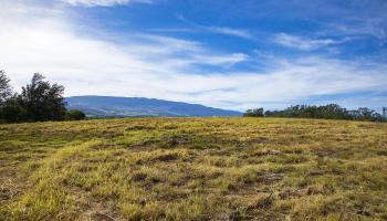 0 Haliimaile Rd  Makawao, Hi vacant land for sale - photo 4 of 8