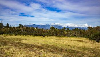 0 Haliimaile Rd  Makawao, Hi vacant land for sale - photo 5 of 8