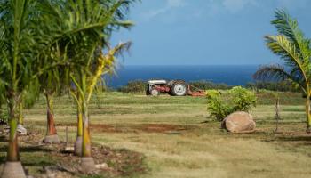 0 Hana Hwy Haiku-Pauwela, Hi 96708 vacant land - photo 5 of 30