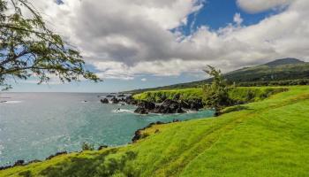 0 Hana Hwy Makaalae Hana, Hi vacant land for sale - photo 2 of 10