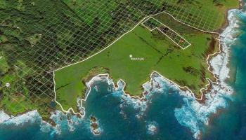 0 Hana Hwy Makaalae Hana, Hi vacant land for sale - photo 5 of 10