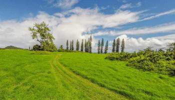 0 Hana Hwy Makaalae Hana, Hi vacant land for sale - photo 6 of 10