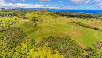 Hinalo Rd  Haiku, Hi vacant land for sale - photo 1 of 20