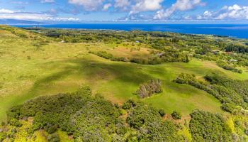 Hinalo Rd  Haiku, Hi vacant land for sale - photo 2 of 20