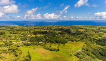 Hinalo Rd  Haiku, Hi vacant land for sale - photo 3 of 20