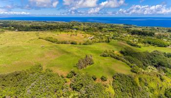 Hinalo Rd  Haiku, Hi vacant land for sale - photo 4 of 20