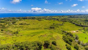 Hinalo Rd Haiku, Hi 96708 vacant land - photo 5 of 20