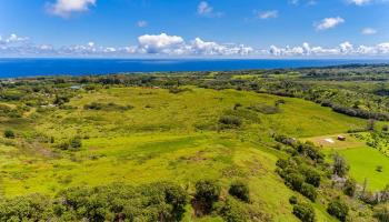 Hinalo Rd  Haiku, Hi vacant land for sale - photo 5 of 20