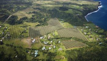 0 N Holokai Road  Haiku-Pauwela, Hi vacant land for sale - photo 4 of 6