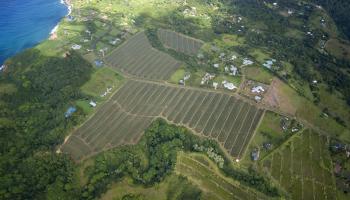 0 N Holokai Road  Haiku-Pauwela, Hi vacant land for sale - photo 5 of 6