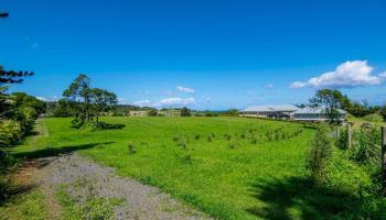 0 N Holokai Rd Unit B Haiku-Pauwela, Hi vacant land for sale - photo 3 of 28